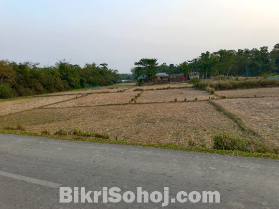 জায়গা বিক্রয়- দক্ষিণ সুরমা উপজেলা কমপ্লেক্সের অদূরেই অবস্থিত